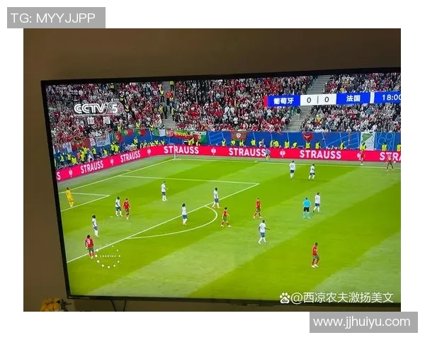 五年蜕变欧洲杯数据全面进化展现绿茵赛场实力与技术新高度